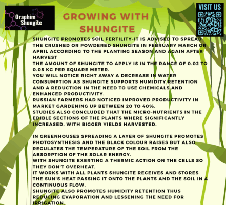 GROWING WITH SHUNGITE (Digital Download) Inspiring Information.